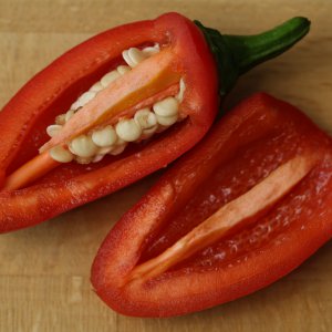 20190901-jalapeno-agriset-hot-HM6C7288.jpg