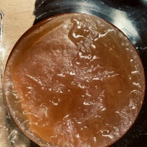 Kombucha 1, 10 Tage