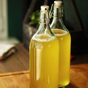 Sencha Kombucha 14d