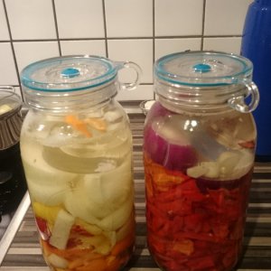 Fermentieren