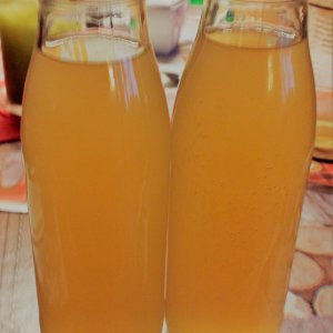 Kombucha