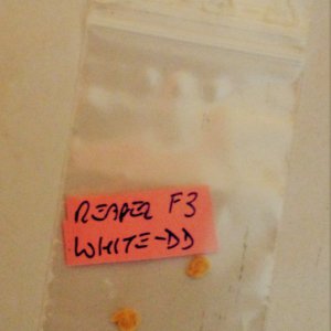 Reaper white F3 DD