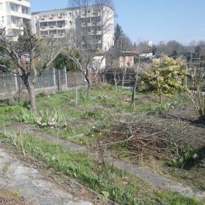 Äpfel-Flieder-Blümchen-Seite