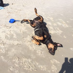 Sant Peter Ording .jpg