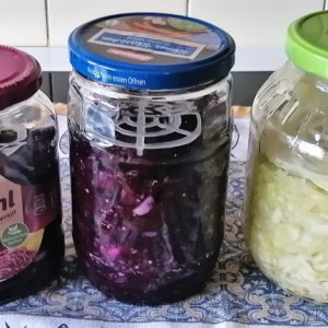 Spitzkohl und Rotkohl ferment.