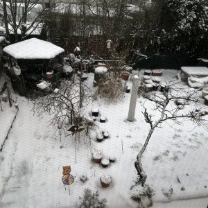 Schnee am 07.02.2021