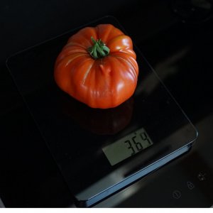 tomate 369g.jpg