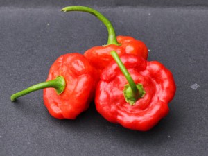 Aji-cachucha_pod