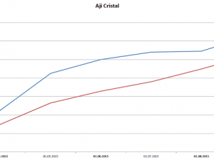 Bericht%252520Aji%252520Cristal