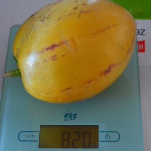 2 Pepino 820g.JPG