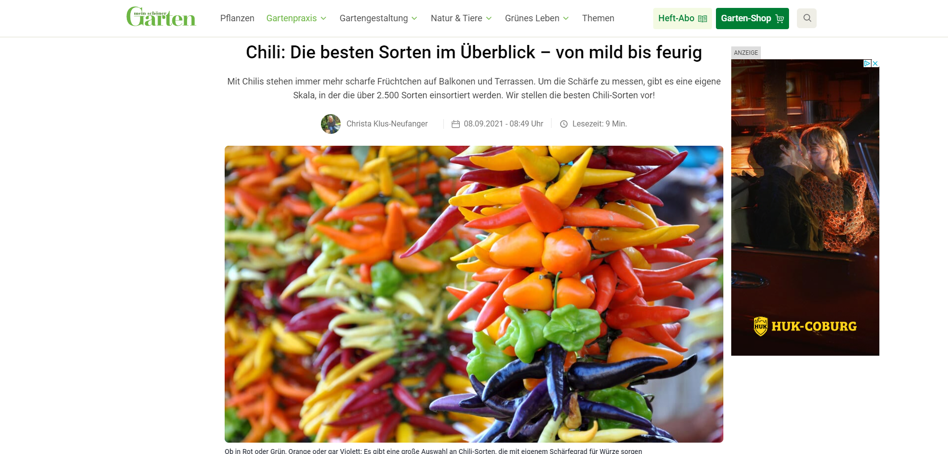 FireShot Capture 382 - Chili_ Die besten Sorten im Überblick - Mein schöner Garten_ - www.mein...png