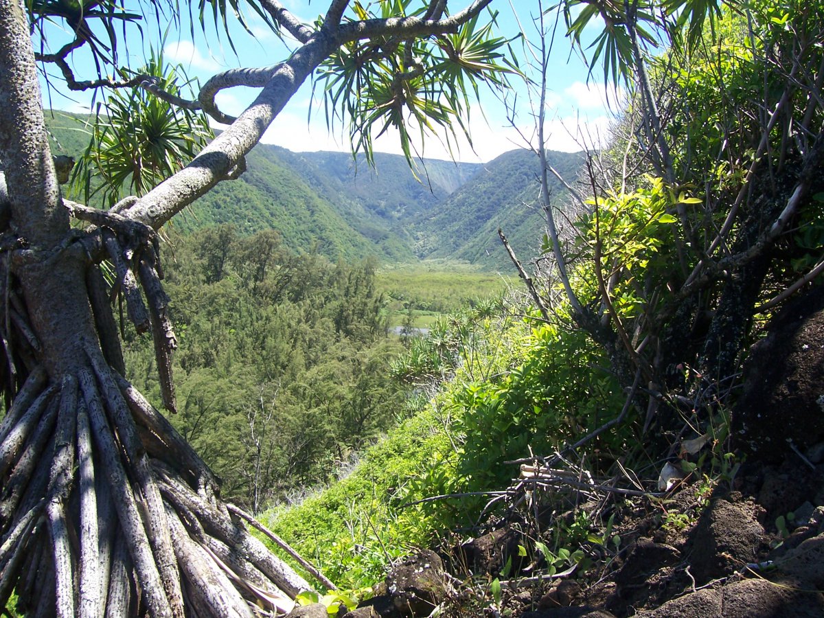 100_7549Pololu_Talblick.JPG