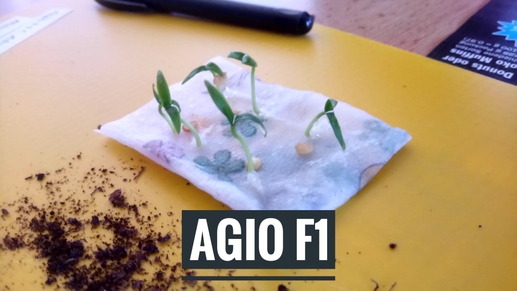 15.03.2018 // Agio F1 Keimbeutel