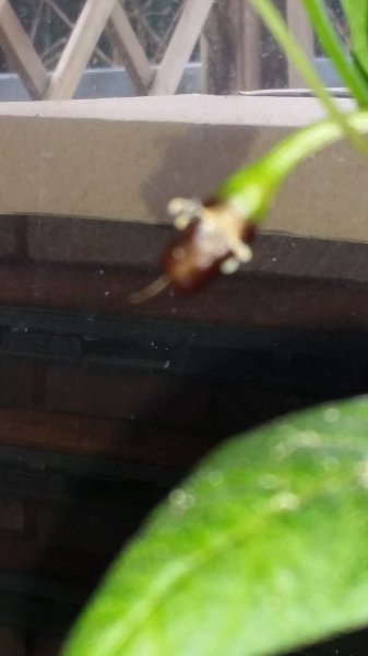 20160327_160036