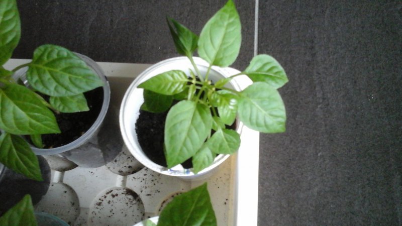 20160329_170508