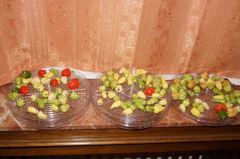 full