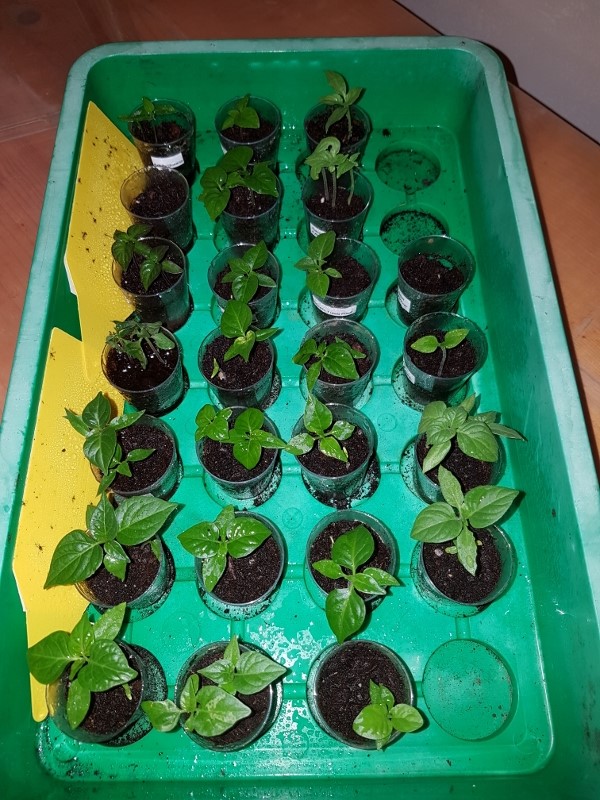 full