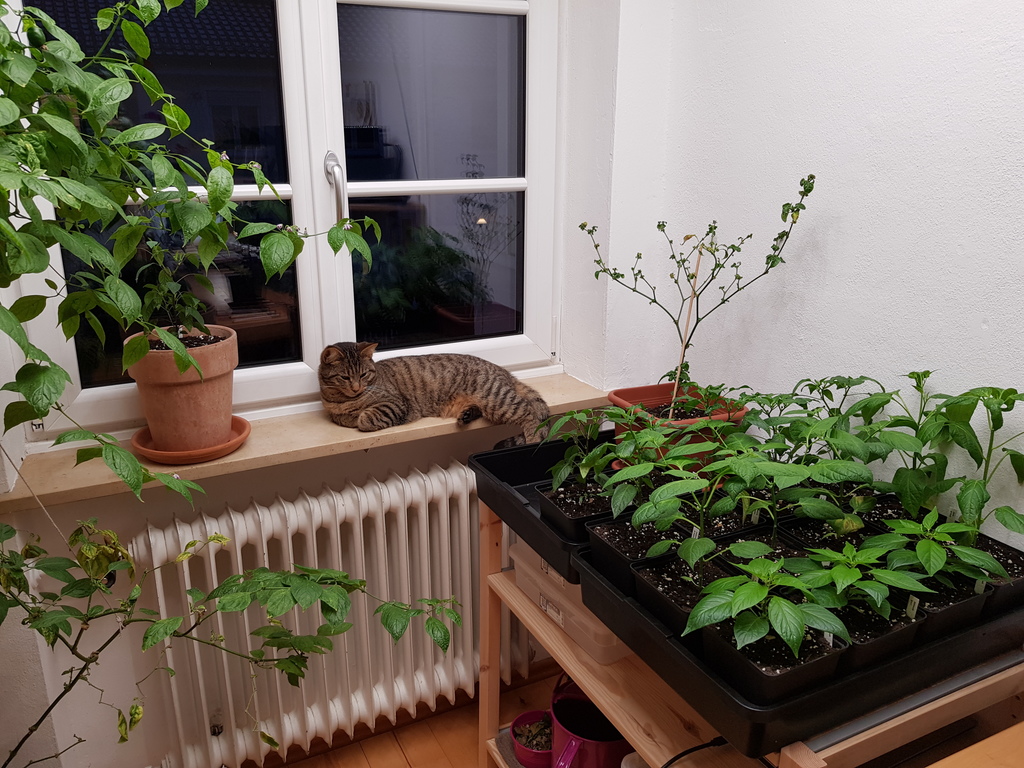 20190125_172051-novemberkinder.jpg