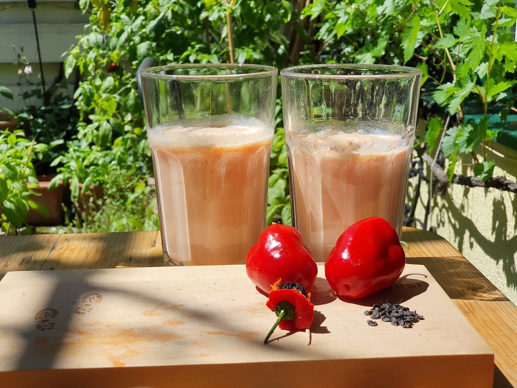 20190601_144304-rocoto-milchshake.jpg