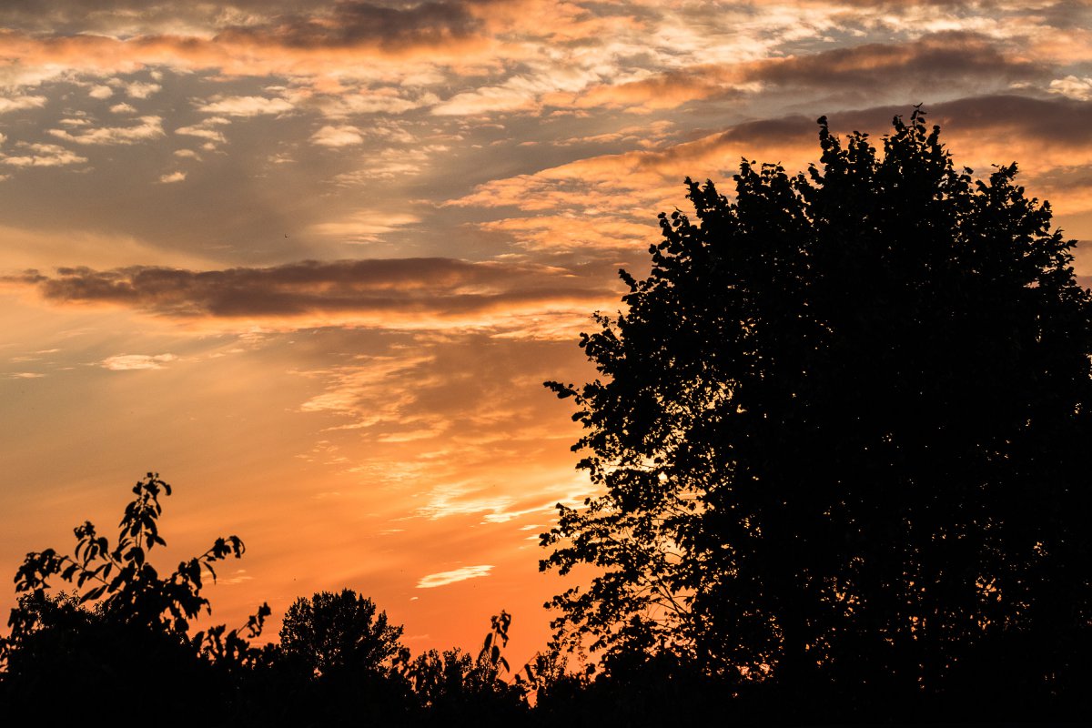 2019_07_06_sonnenuntergang im garten.jpg