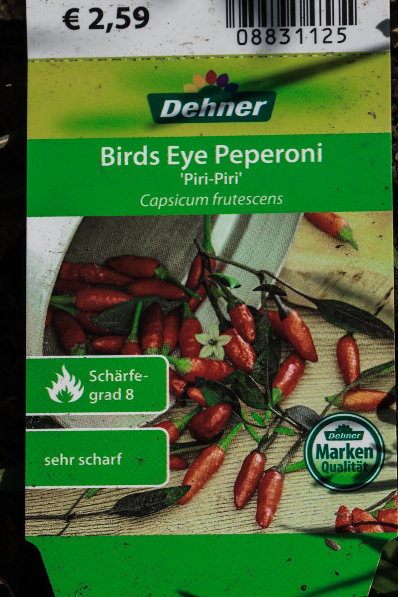 2019_09_06_frutescens_dehner1.jpg