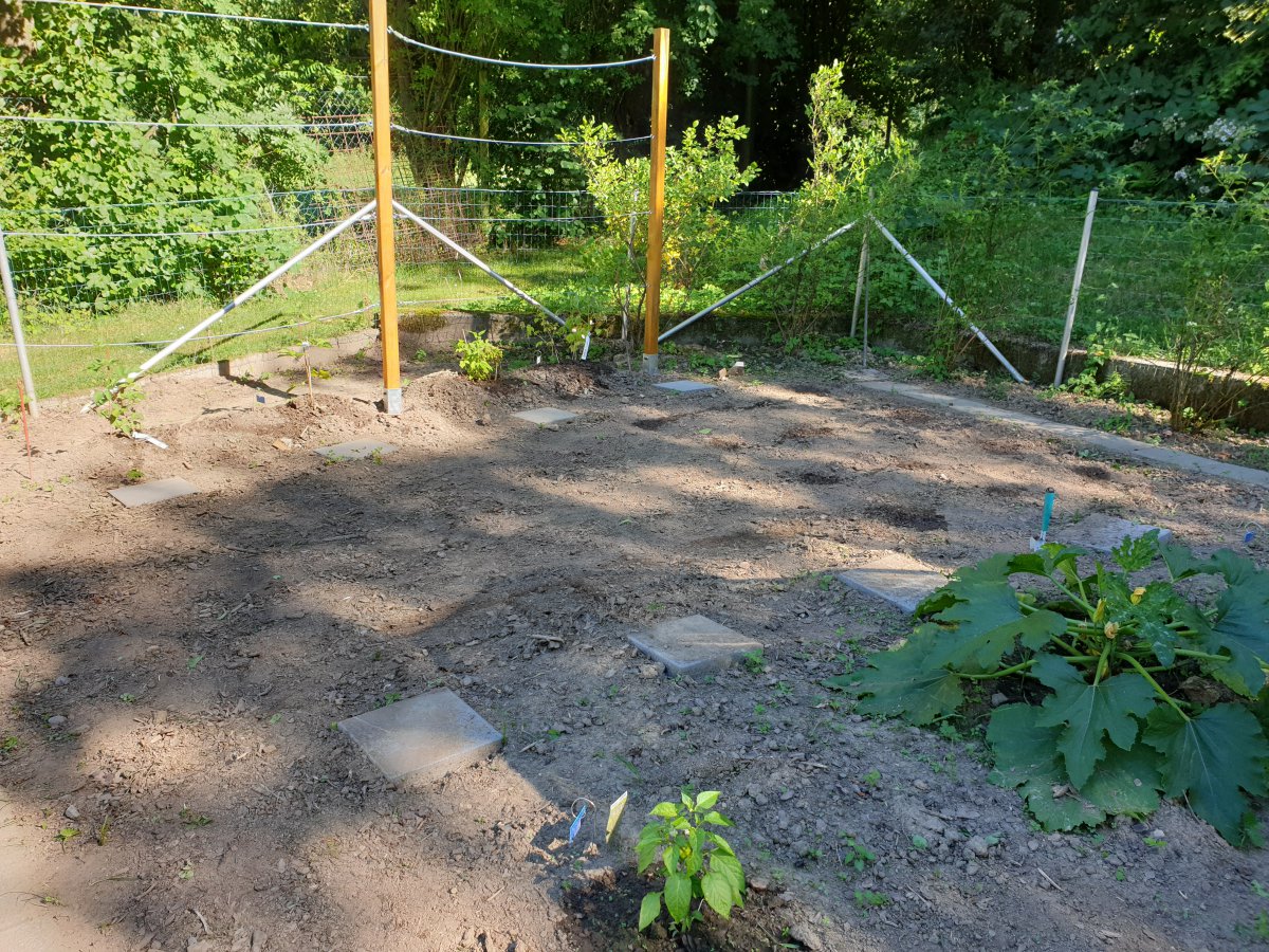 29.06.19    Garten hinten.jpg