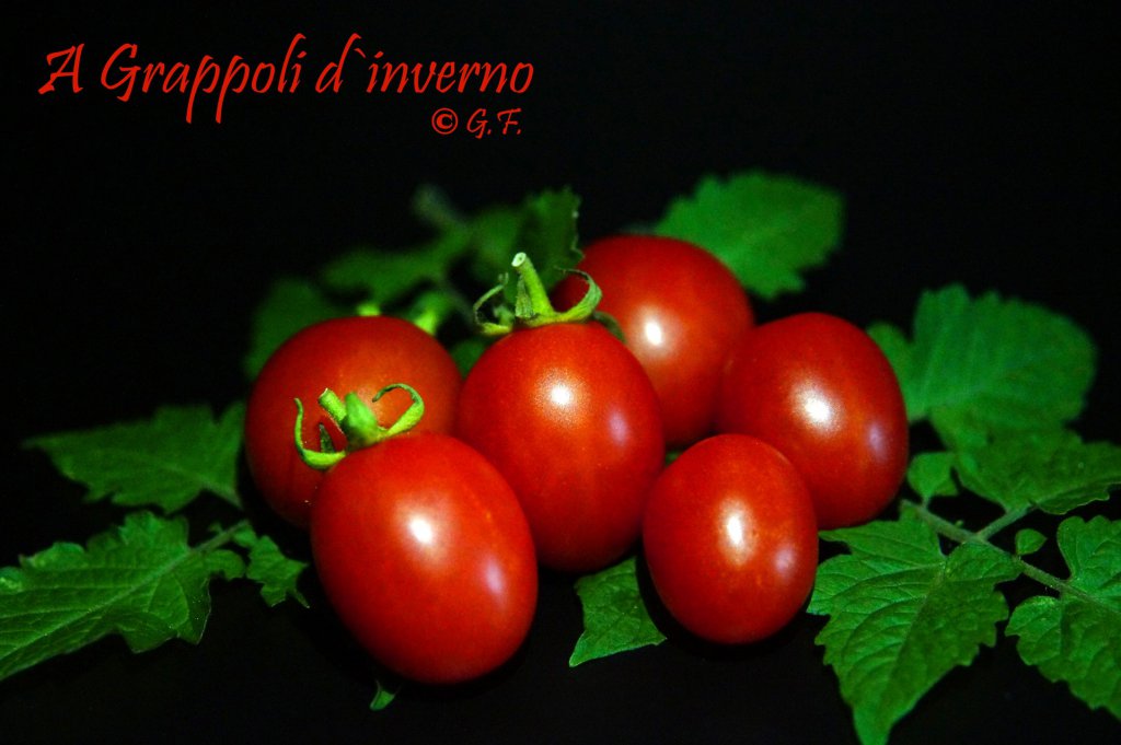 A Grappoli d' Inverno