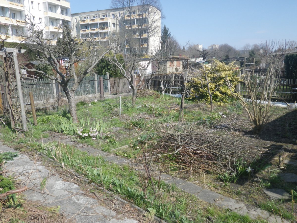 Äpfel-Flieder-Blümchen-Seite