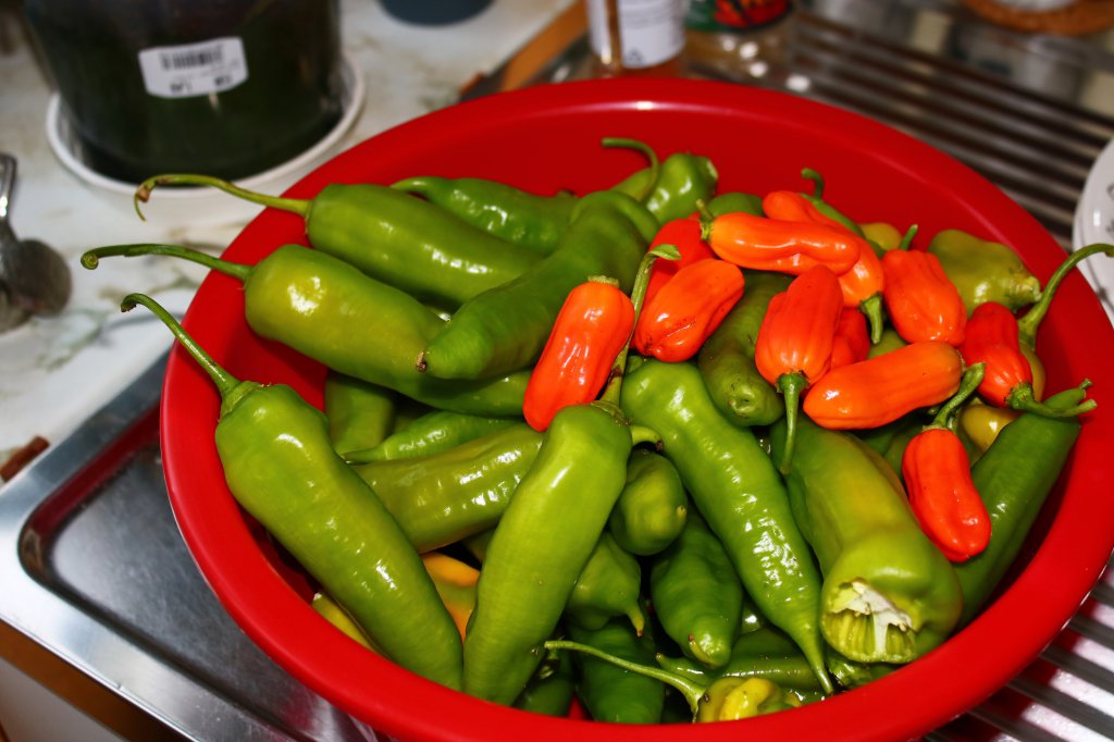 Aji Amarillo und Arseclown Jolokia