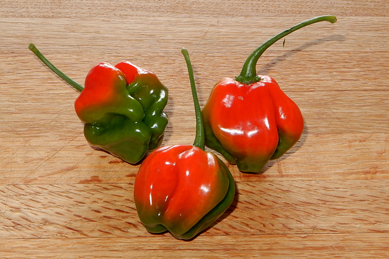 Aji Dulce