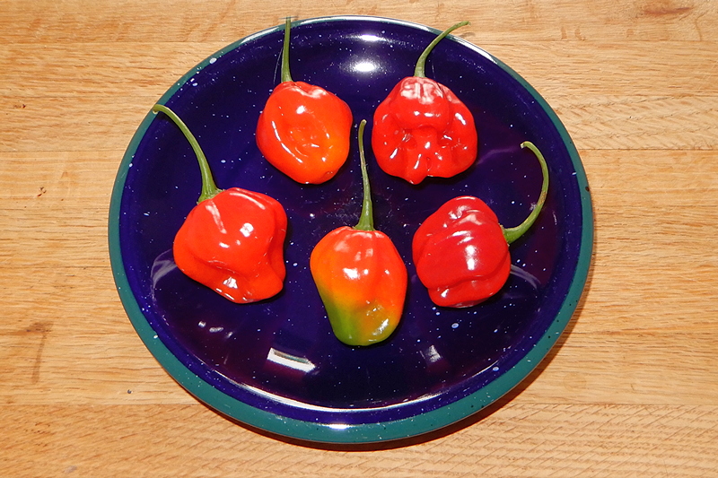 Aji Dulce