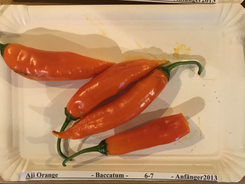 Aji_Orange