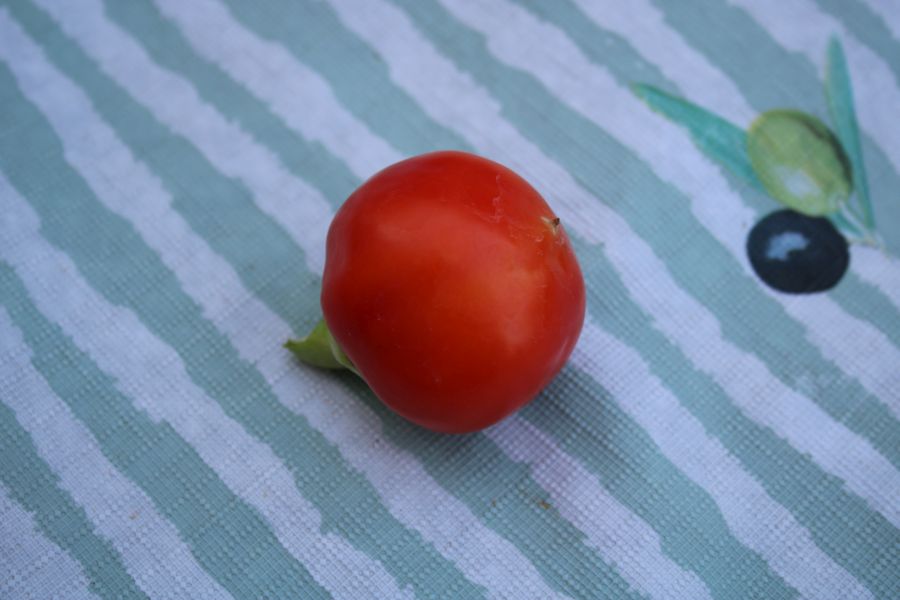 Alma Paprika