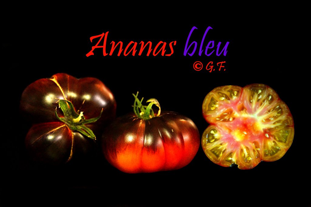 Ananas Bleu