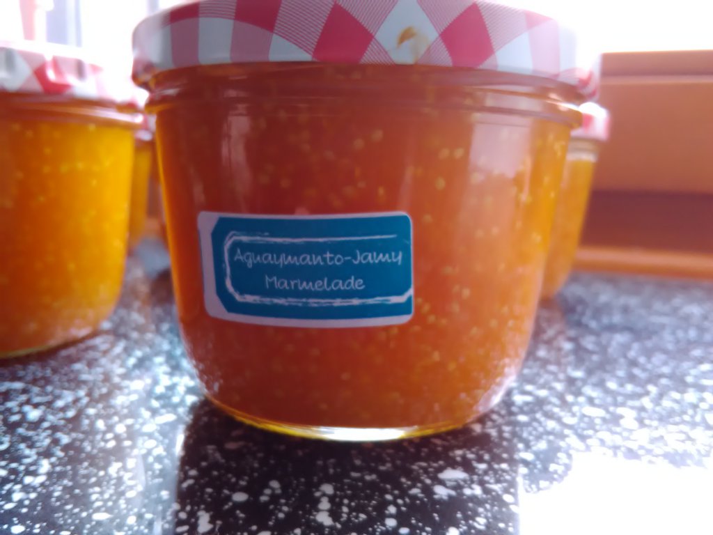 Aquaymanto-Jamy-Marmelade