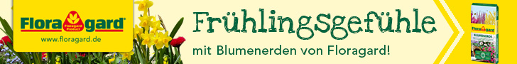 Banner-FG-Frühlingsgefühle-728x90pix.jpg