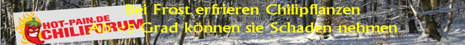 Banner-Frost-Schneewald-927x90