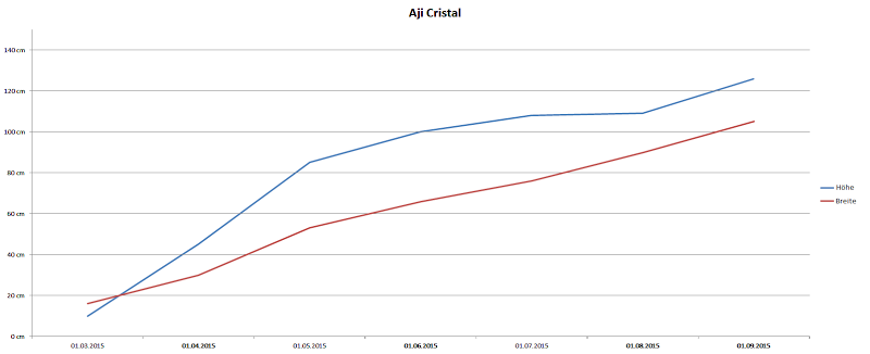 Bericht%252520Aji%252520Cristal