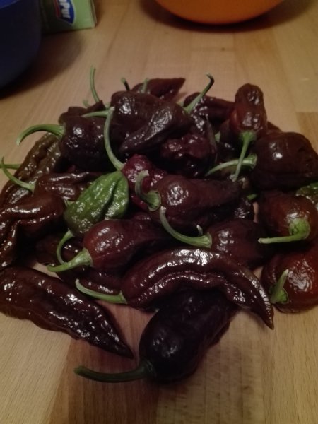 Bhut Jolokia Choco