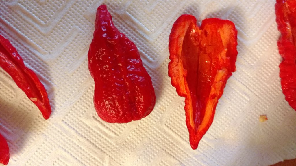 Bhut Rot