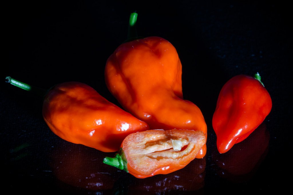 Bhut_Jolokia_red_Frucht