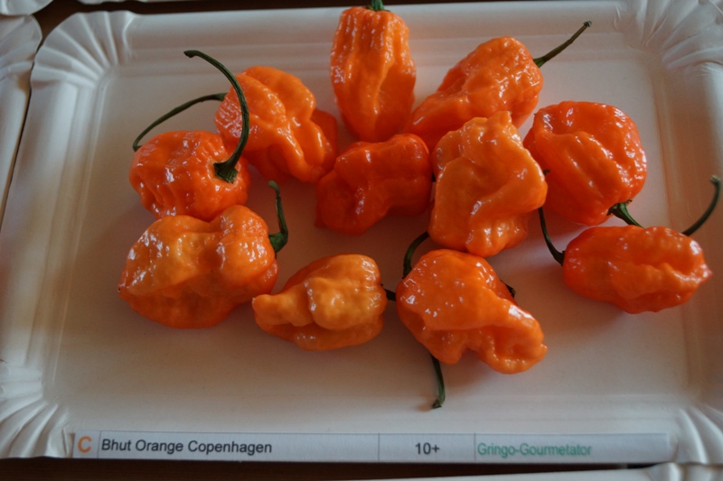 Bhut_Orange_Copenhagen_10