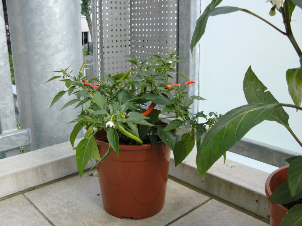 BILD0023