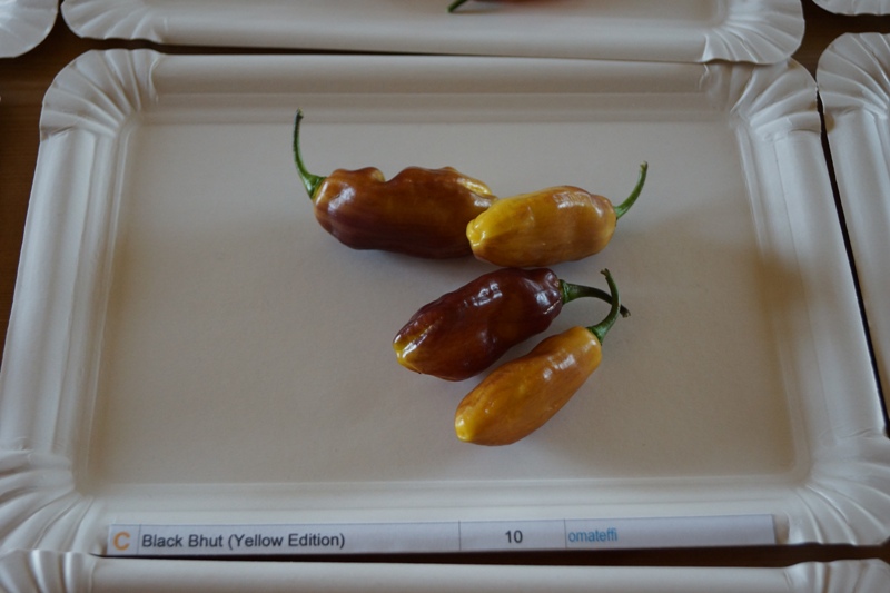 BlackBhut_Yellow_10