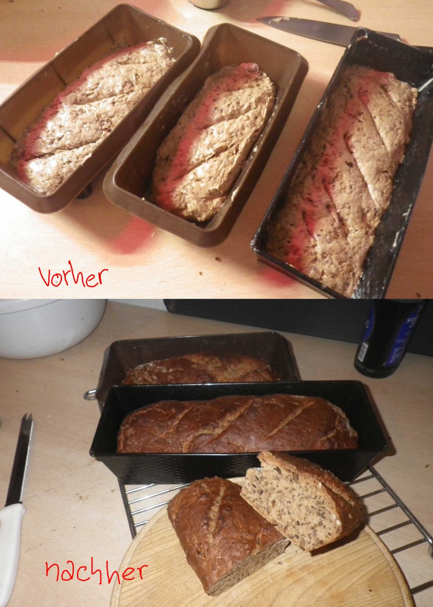 brot-fertig_web.jpg