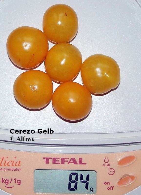 Cerezo Gelb Coctail 2-d1