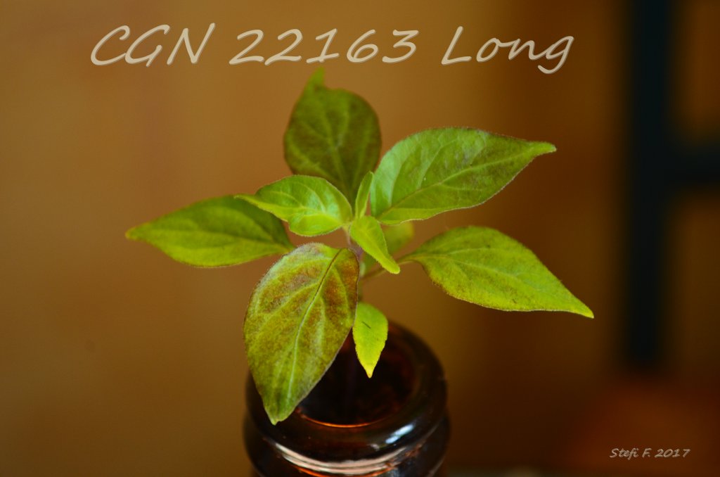 CGN 22163 Long, 09.04.