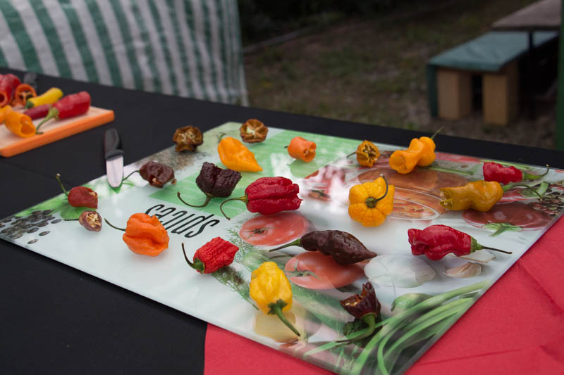 Chilifest Wagram 2015