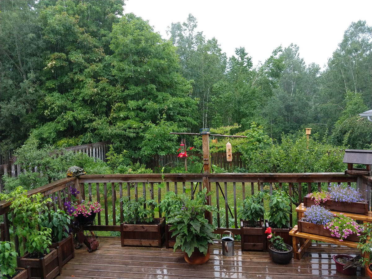 Deck