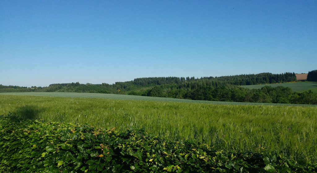 Die schöne Eifel